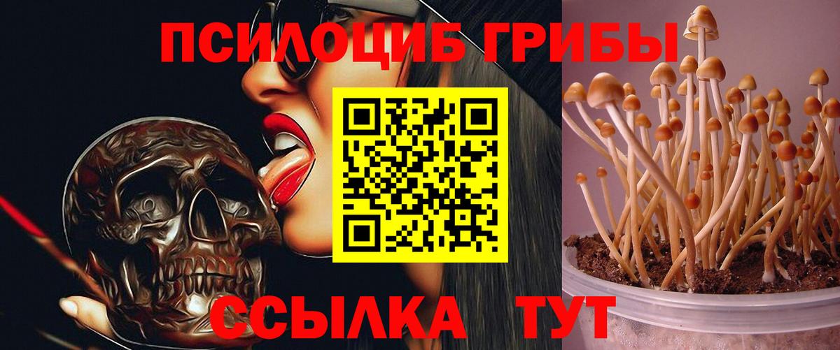 Галлюциногенные грибы MAGIC MUSHROOMS  Вход с VPN  Прохладный 