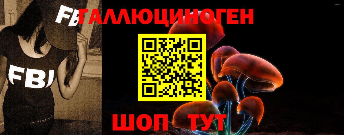 Галлюциногенные грибы MAGIC MUSHROOMS Прохладный